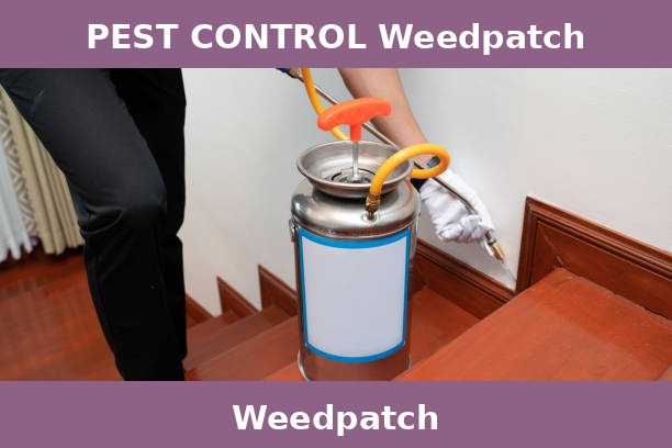 PEST CONTROL Weedpatch